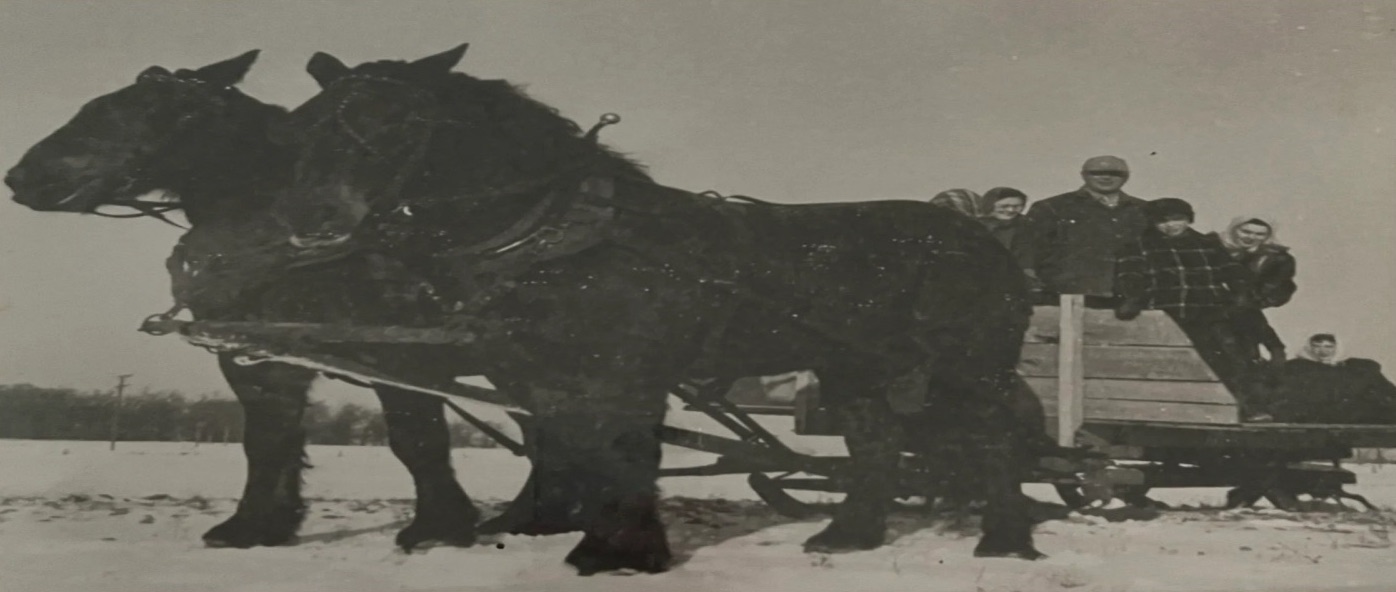 Fotografía antigua en blanco y negro de la familia Meissner en un trineo de madera tirado por dos caballos de tiro sobre la nieve